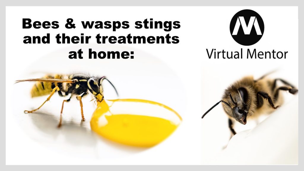 Bees & wasps stings-their treatments at home