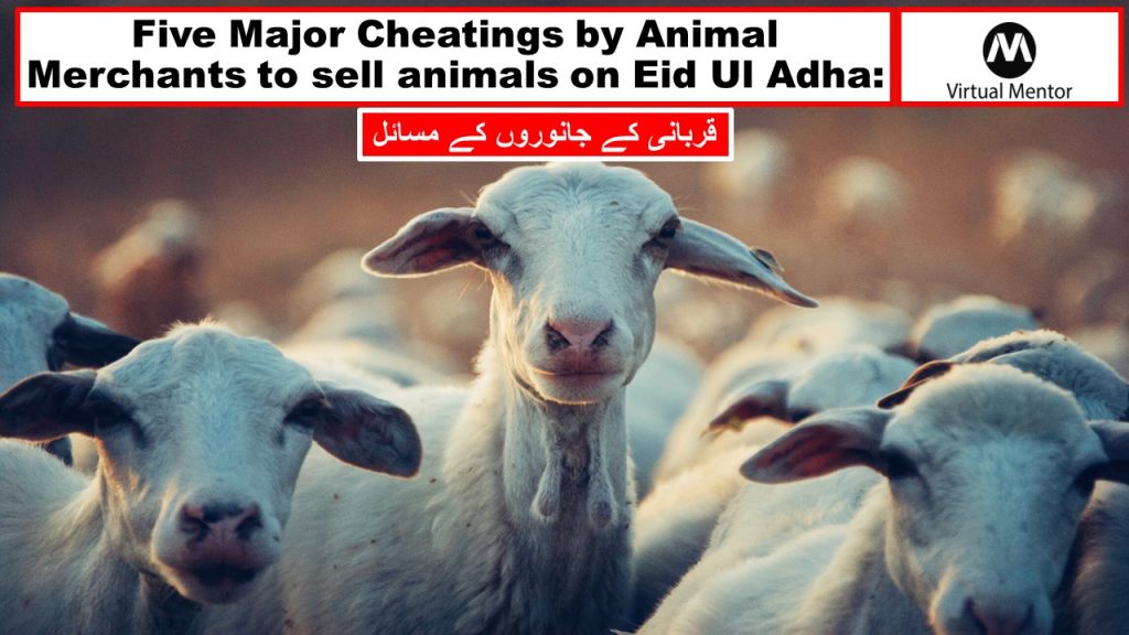 Cheatings of Animal Merchants on EId ul Adha