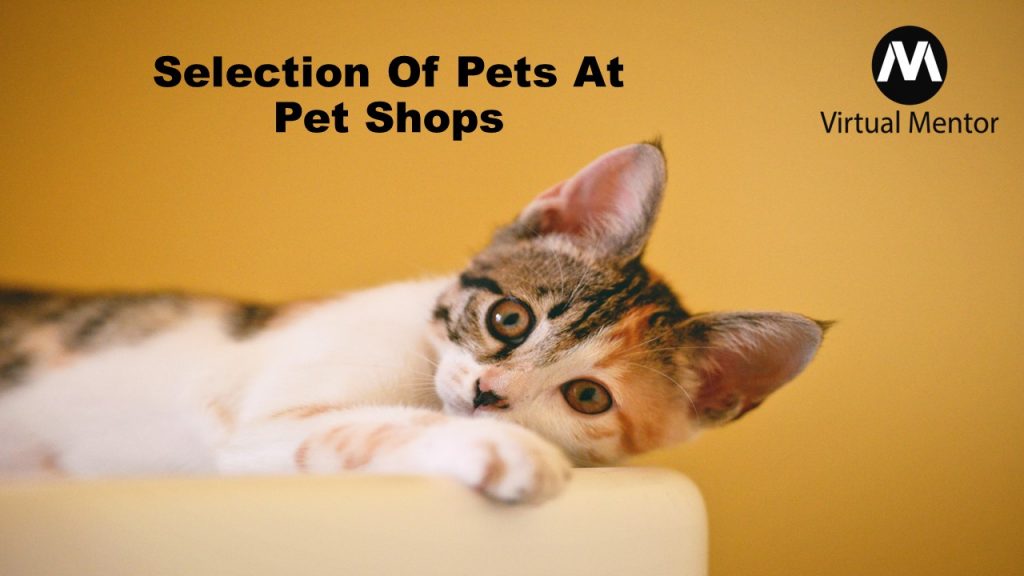 Selection of Pets-Cats-Dogs-Birds